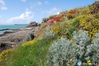cliquez ici pour agrandir les photos de cette location à saint_malo