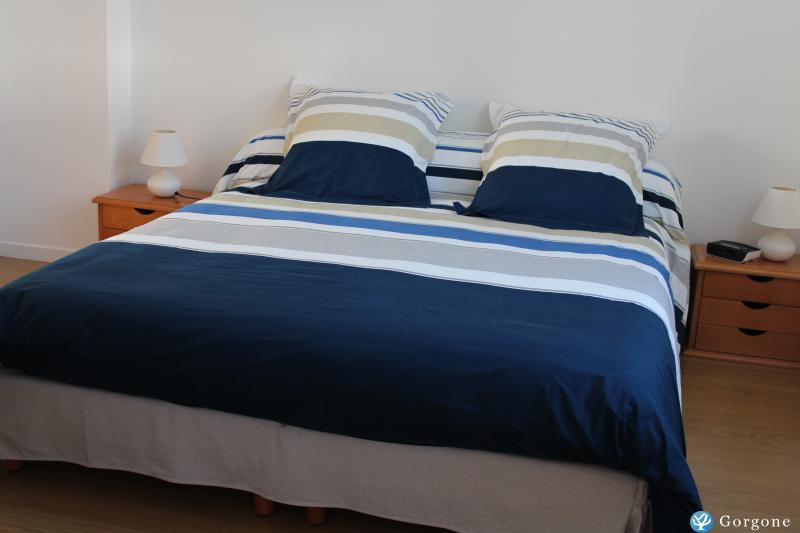 Photo n°8 de :Appartement T3, 49m terrasse 22m,350m de la plage, WIFI GRATUIT.
